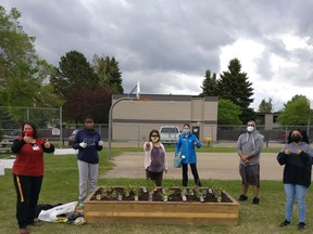 The Fort Saskatchewan Multicultural Association planted pollinator gardens at local schools as part of their Youth Enviornment Program. Photo Supplied.