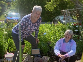 Friends Shirley and Ginny, with their friend Barb (not pictured) have been keeping up a garden in memory of their mother's for about ten years. Their mother's are represented by roses and decorative stones (pictured) Alice, Veronica and Joan. Hannah MacLeod/Kincardine News