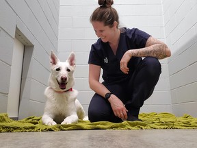 Shiya and Kate Graham, interim manager of the Ontario SPCA Renfrew County Animal Care Centre are all smiles as they are finally able to announce the renovations to the centre to create a dedicated area for dogs is now complete.