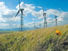 A line of turbines catch the breeze at the Canadian Hydro wind farm on Cowley Ridge east of Crowsnest Pass June 30. Photo Supplied