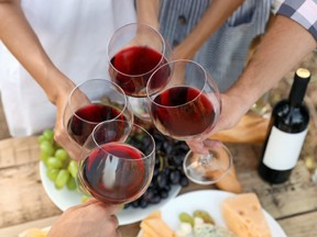 Starting on Thursday, July 1, Strathcona County will launch an alcohol consumption pilot project at designated picnic sites across five different sites. Photo Supplied