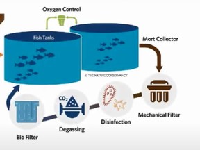 A screengrab of a video on land-based aquaculture systems by Georgian Bay Innovation Group.