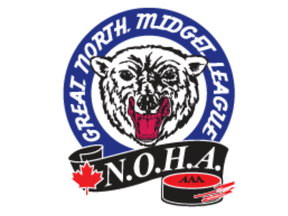 Great North Under-18 League logo