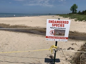A sign warns beachgoers at Sauble Beach of a roped-off piping plover nesting area.