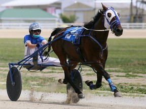 Tyler Nostadt drives Style Snapshot to victory in the fifth race at Dresden Raceway in Dresden, Ont., on Sunday, June 13, 2021. Mark Malone/Chatham Daily News/Postmedia Network