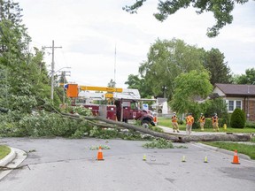 Firefighters and London Hydro employees work to remove part of a tree after it fell on Briscoe Street completely blocking MacKay Avenue in London, Ont. on Tuesday, June 29, 2021. (Derek Ruttan/The London Free Press)