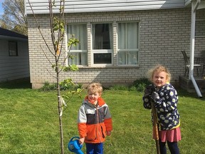 The Norwood Lions Club sold a total of 129 trees in their spring tree sales program; one of the trees was given a good start with help from 4 year old Isaac Van Luven with the watering can and 6 year old Morgann Van Luven with the shovel. SUBMITTED PHOTO
