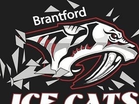 Brantford Ice Cats