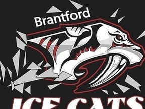 Chats des glaces de Brantford