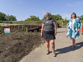 Butterflyway Rangers Gwen Chapman (left) an Susie Stones visit a project garden at Scarfe and Grand River Avenues in Brantford, where native wildflowers have been planted to attract pollinators such as butterflies and bees.