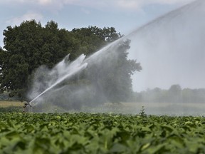 The Grand River Conservation Authority has declared a Level 1 condition under the Ontario Low Water Response program, urging water users throughout the watershed to voluntarily reduce consumption of water by 10 per cent. (Postmedia file photo)