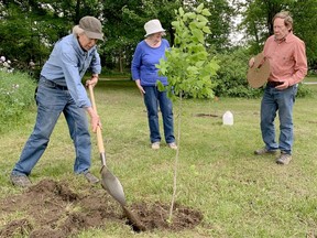 Brian Porter, left, plants a hackberry tree while his wife, Renee, looks on and Don Ross adds a coconut mat at the Thousand Islands Watershed Land Trust arboretum site near Athens on Saturday. (RONALD ZAJAC/The Recorder and Times)