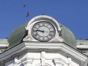 Birds land on the Brockville City Hall clock tower in Brockville, Ont. Photo by RONALD ZAJAC/The Recorder and Times.