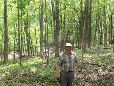 Gary Eagleson enjoys walking through the 40-acre Carolinian woodlot on his farm near Florence. Ellwood Shreve/Chatham Daily News/Postmedia Network