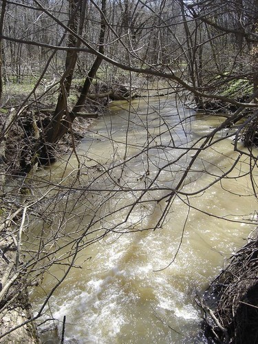 Handout/Chatham Daily News
Fansher Creek flows through Mulberry Meadows farm.