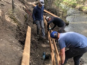 Bike Cochrane volunteers build a boardwalk in a town-assisted project intended to make Cochrane Ranche safer for both recreation enthusiasts and the Bighill Creek. Bike Cochrane