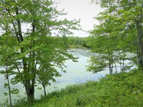 Michael and Susan Rehner have donated 88 hectares of land near Parham to the Land Conservancy for Kingston, Frontenac, Lennox and Addington.
Photo courtesy Land Conservancy for Kingston, Frontenac, Lennox and Addington