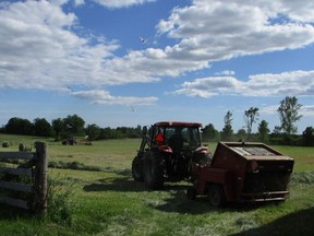 Little Red working the farm.