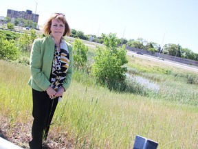 Anne Marie Gillis, then-chairperson of the City of Sarnia's Communities in Bloom committee, poses in 2018 by green space east of the Christina Street overpass. It's one of the areas the Ministry of Transportation is targeting for a refresh. (Observer file photo)