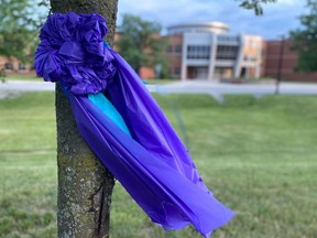 Purple ribbons have been placed on trees outside of Holy Trinity Catholic High School in Simcoe in memory of former student Alex Dalton, 23, who was killed in a hit-and-run collision near Hagersville on April 23.