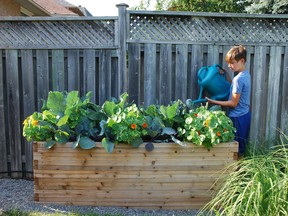 Raised beds are perfect for cottage gardens because they are an efficient way to amend soil and warm up earlier in the spring.