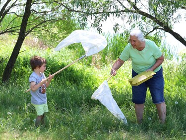 Maria DeMarco and her grandson, Sidney, 4, search for critters and bugs near Robinson Playground on Wednesday.