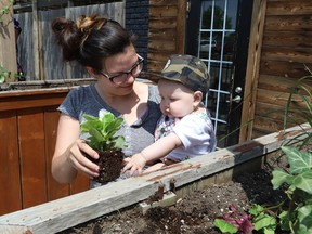 Chantale Richer holds her son, Orson, six months, while planting flowers in planters at the patio area of the Laughing Buddha in Sudbury, Ont. on Thursday June 10, 2021. Richer was preparing the patio for opening Friday. John Lappa/Sudbury Star/Postmedia Network