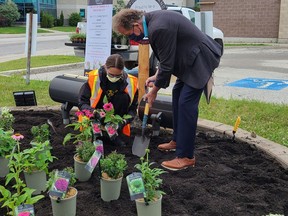 Bee City Timmins has unveiled two pollinator-friendly garden plots in front of the Timmins Public Library and the Timmins Economic Development Corporation. The garden plots are filled with plants native to Northern Ontario that are designed to attract pollinators as part of Bee City Timmins' commitment to helping sustain our pollinator species (bees, butterflies, hummingbirds). Mayor George Pirie was on hand to help with planting.

Supplied