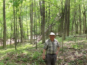 Gary Eagleson enjoys walking through the 40-acre Carolinian woodlot on his farm near Florence. Ellwood Shreve/Postmedia Network