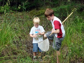 McMurphy's Pond attracted many junior naturalists to investigate its mysteries.