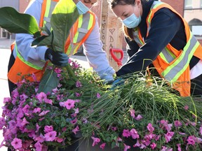 City of Sault Ste. Marie horticultural summer students Makenzi Chartrand and Olivia Bruni tend to a floral display at Queen Street East and Spring Street on Friday, July 9, 2021. (BRIAN KELLY/THE SAULT STAR/POSTMEDIA NETWORK)