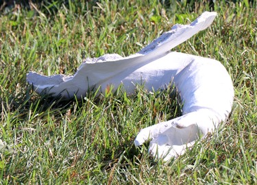 Vandalism done to Our Lady of Fatima grotto at Our Lady of Good Counsel Catholic Church on Saturday, July 10, 2021 in Sault Ste. Marie, Ont. (BRIAN KELLY/THE SAULT STAR/POSTMEDIA NETWORK)