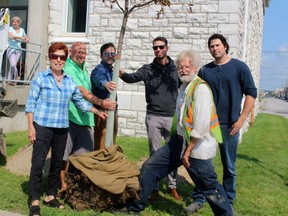 Hariett Madigan, left, Mark Deacon, Maxime Samson, Neil Russell, Hal Falk and Christian Tremblay get ready to plant a profusion crab apple tree at the former Ontario Northland headquarters on Oak Street, Wednesday.
PJ Wilson/The Nugget