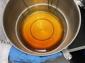 Cannabinoid oil extracted from hemp by Hempsana at the Parsons Court facility. Kathleen Smith