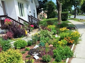The latest award-winning garden selected by the Espanola Gardeners can be found on Barber Street in Espanola. The owner has been given a $50 gift certificate from John's Flower Shop & Greenhouses, McKerrow.