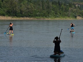 Paddle boarders head down the North Saskatchewan River on another 30 degree plus day in Edmonton on July 8. ED KAISER/Postmedia