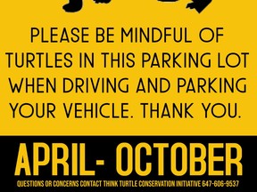 The Think Turtle Conservation Initiative is seeking to raise $450 in its latest campaign to print signs to install in parking lots to remind motorists to be on the look out for turtles.