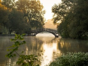 Stratford Summer Music will present a morning of live music and Tai Chi on Tom Patterson Island starting at 7 a.m. Aug. 9. (Submitted photo)