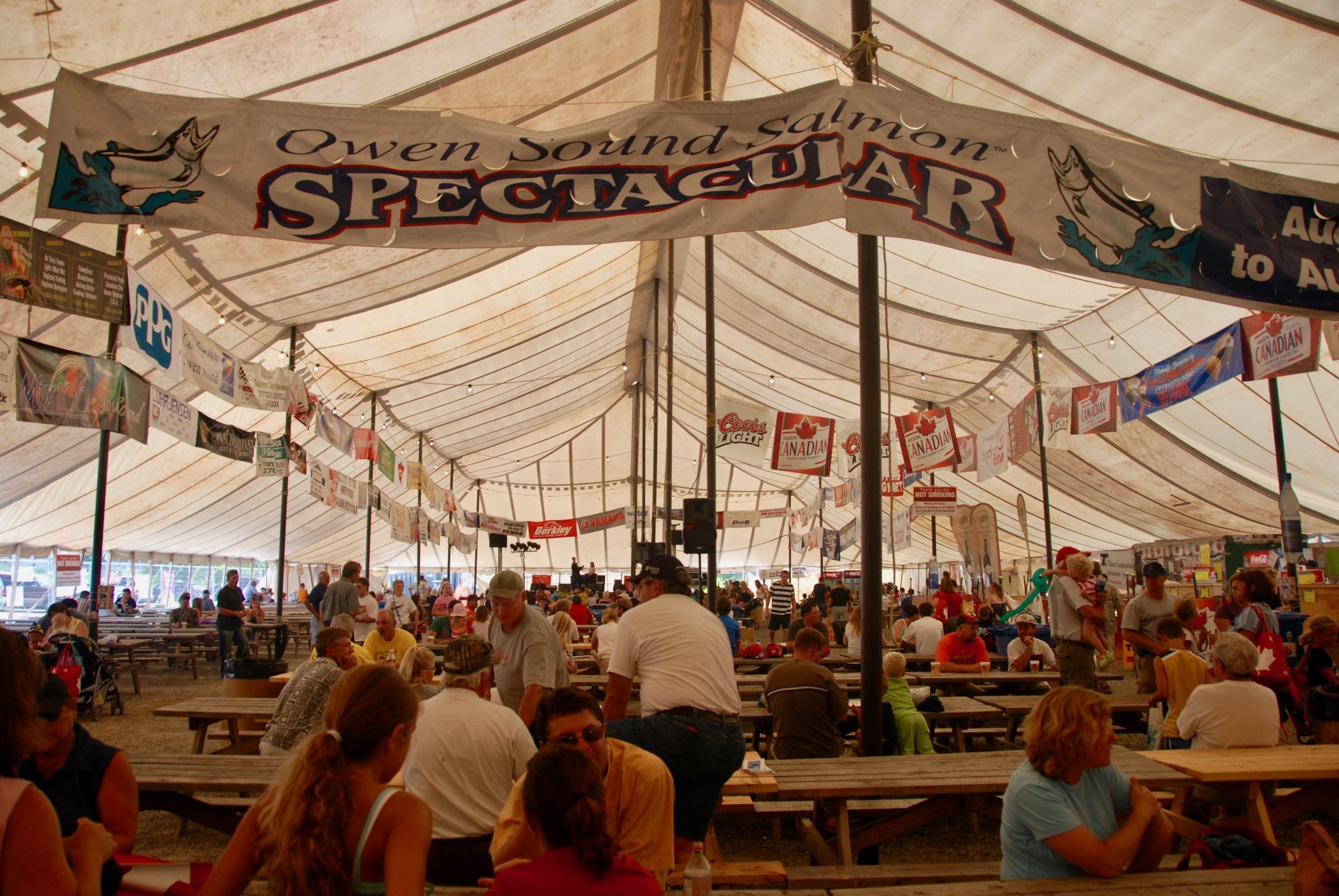 Salmon Spectacular returns to feed fishing need Owen Sound Sun Times