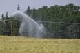 On-farm irrigation projects help improve the efficiency of existing on-farm irrigation systems which can save producers water and energy costs.