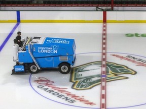 Budweiser Gardens. (Mike Hensen/The London Free Press file photo)