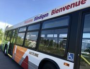 Sault Transit Opens New Service Sault This Week