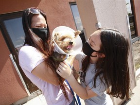 Macy the six-year-old Yorkie is reunited with Dorothy Kwan and daughter Lily, aged 10, after being released from a vet clinic clinic in Scarborough on Friday, July 23 2021. The tiny dog was attacked by a coyote on Tuesday near their home at Warden and St. Clair Ave. East.