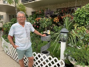 Apartment dweller Ron Ferrell has created a lush garden wonderland just outside his patio doors on Lynnwood Drive, attracting an ongoing stream of visitors.