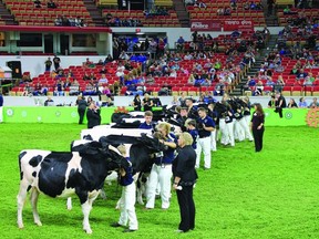 World Dairy Expo