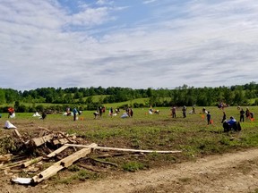 Volunteers pick up debris Saturday, July 3, 2021 in a field planted with soybeans after a tornado destroyed the Zehr farm east of the village of Chatsworth, Ont. the previous Saturday. (Scott Dunn/The Sun Times/Postmedia Network)