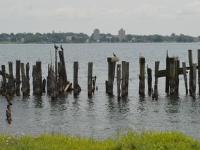 The St. Lawrence River just east of downtown Prescott, with Ogdensburg, New York in the background. Tim Ruhnke/The Recorder and Times