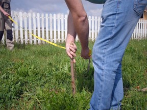 CO.fence survey