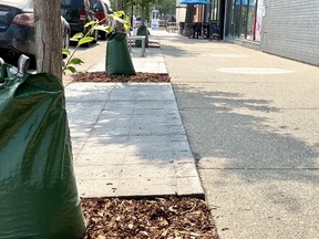 Adjustments to landscaping in the historic downtown were made this spring. Patrick Gibson/Cochrane Times