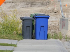 Around a quarter of the town’s blue bins were tagged as containing non-recyclable material during a town-wide check last fall. Patrick Gibson/Cochrane Times